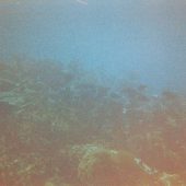  Lighthouse Reef, Belize